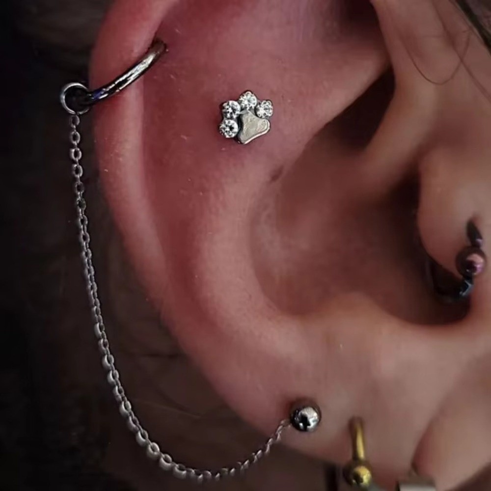Tytanowy łańcuszek do nosa, tr – Body Jewelry Ear recenzja i cena